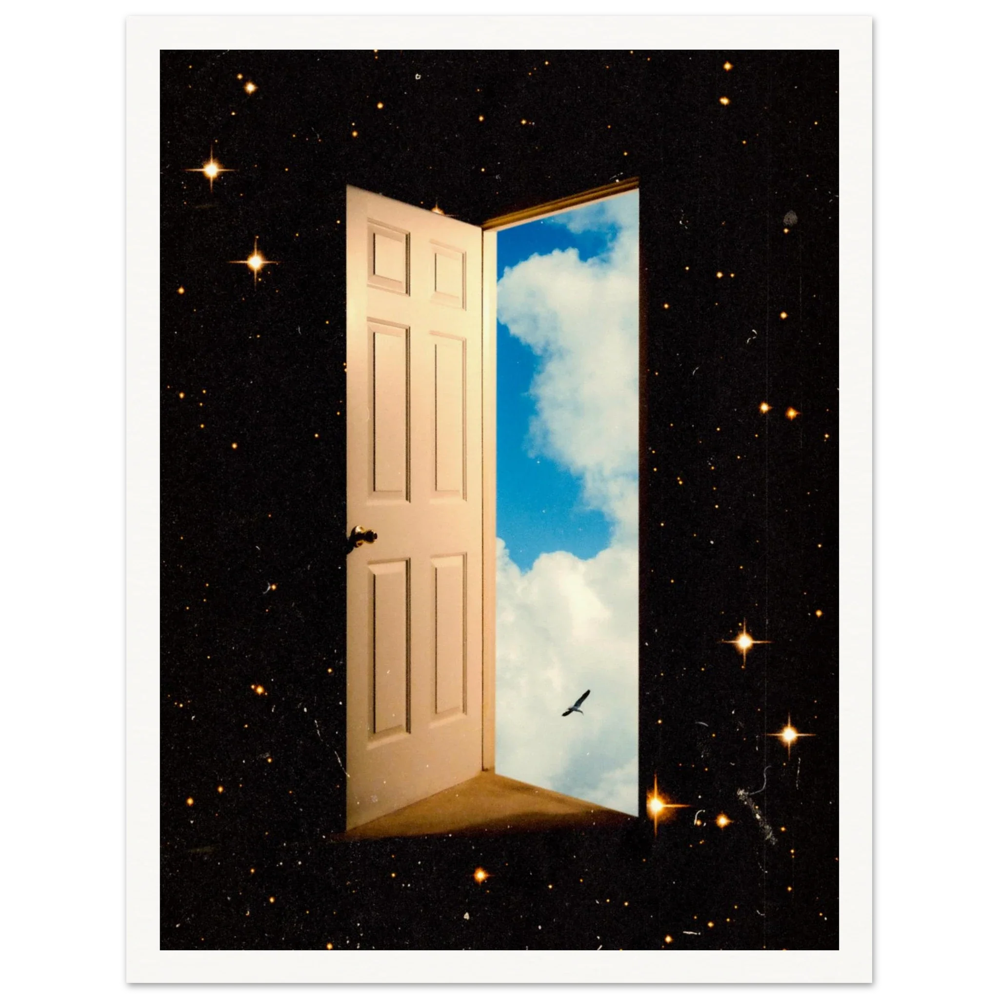 The Portal