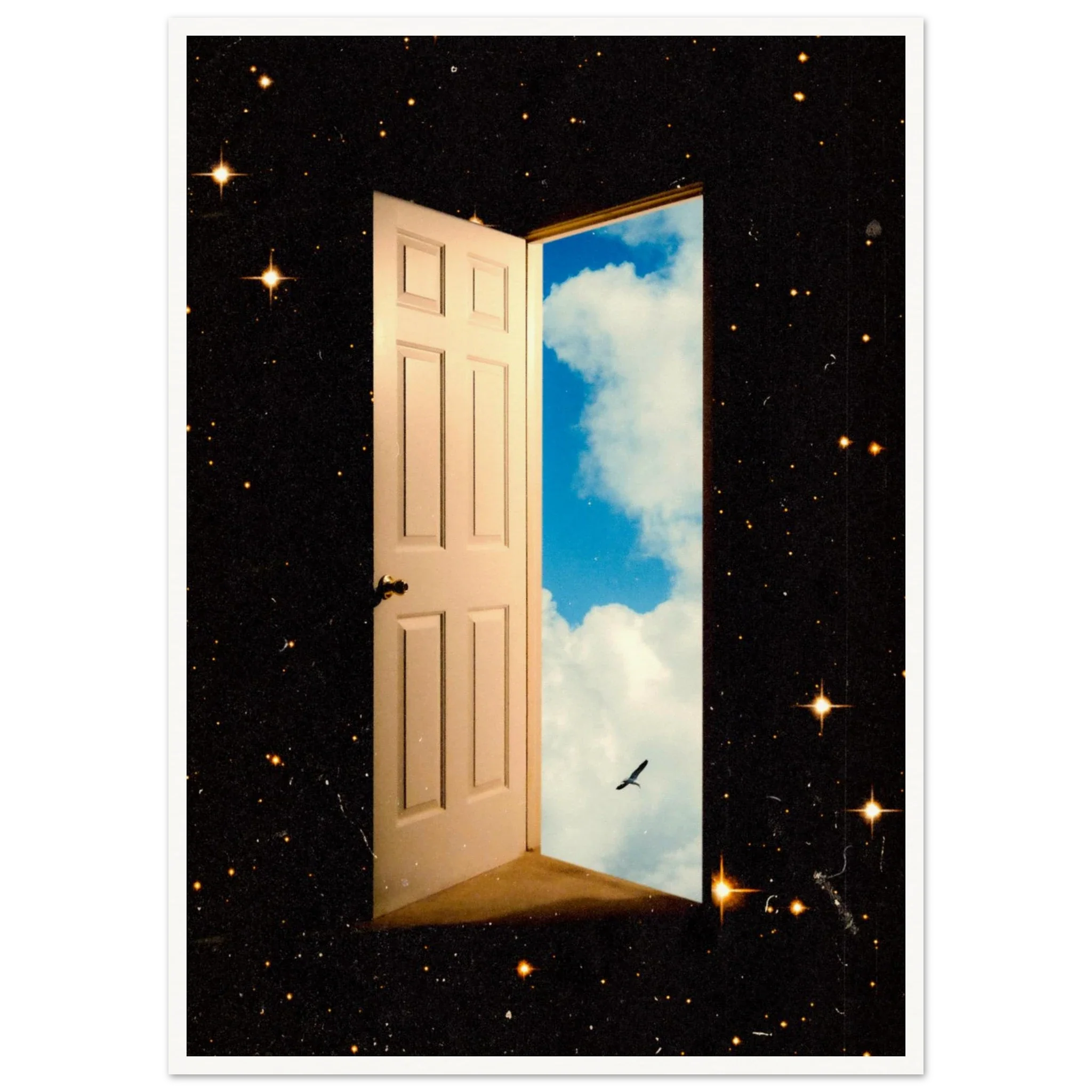 The Portal