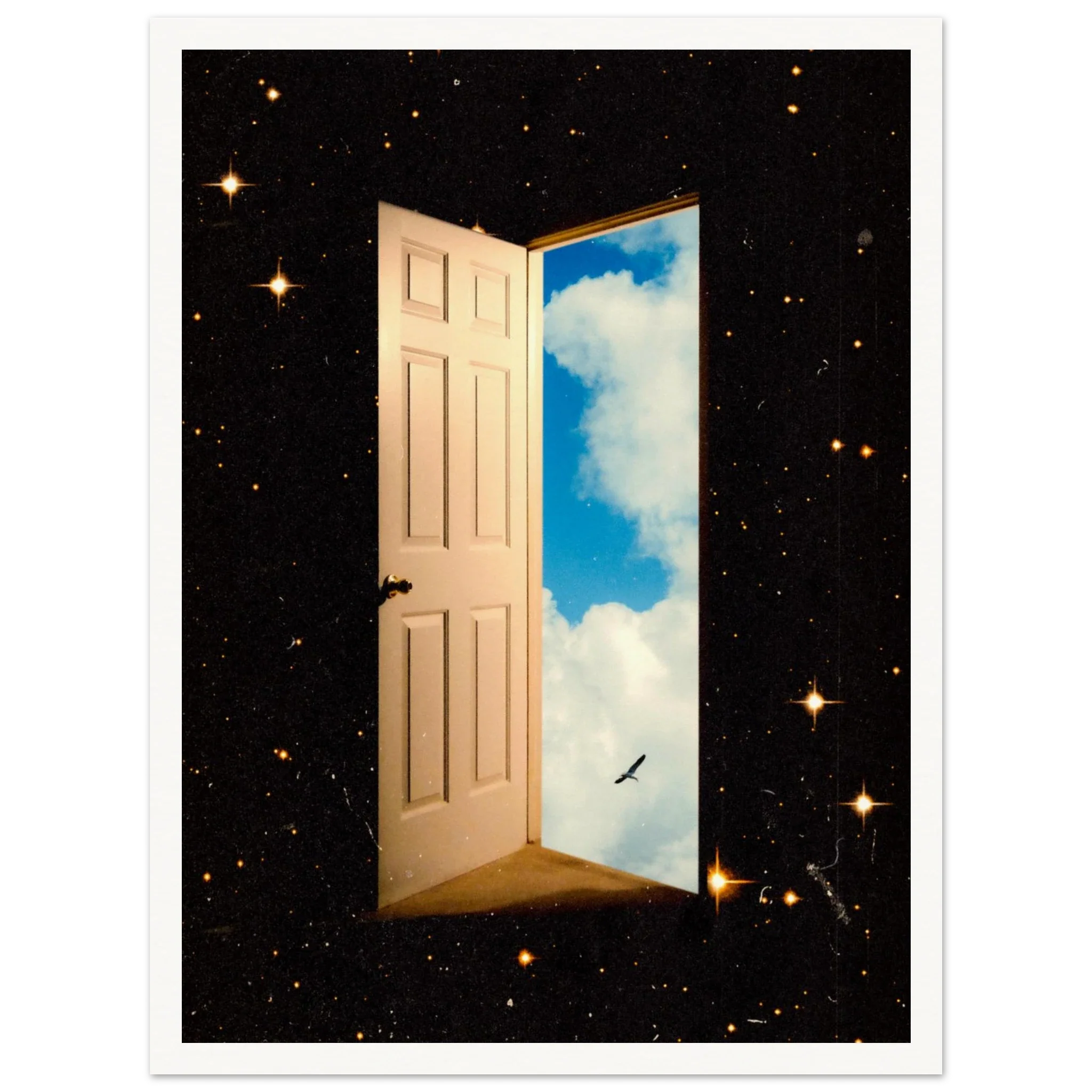 The Portal