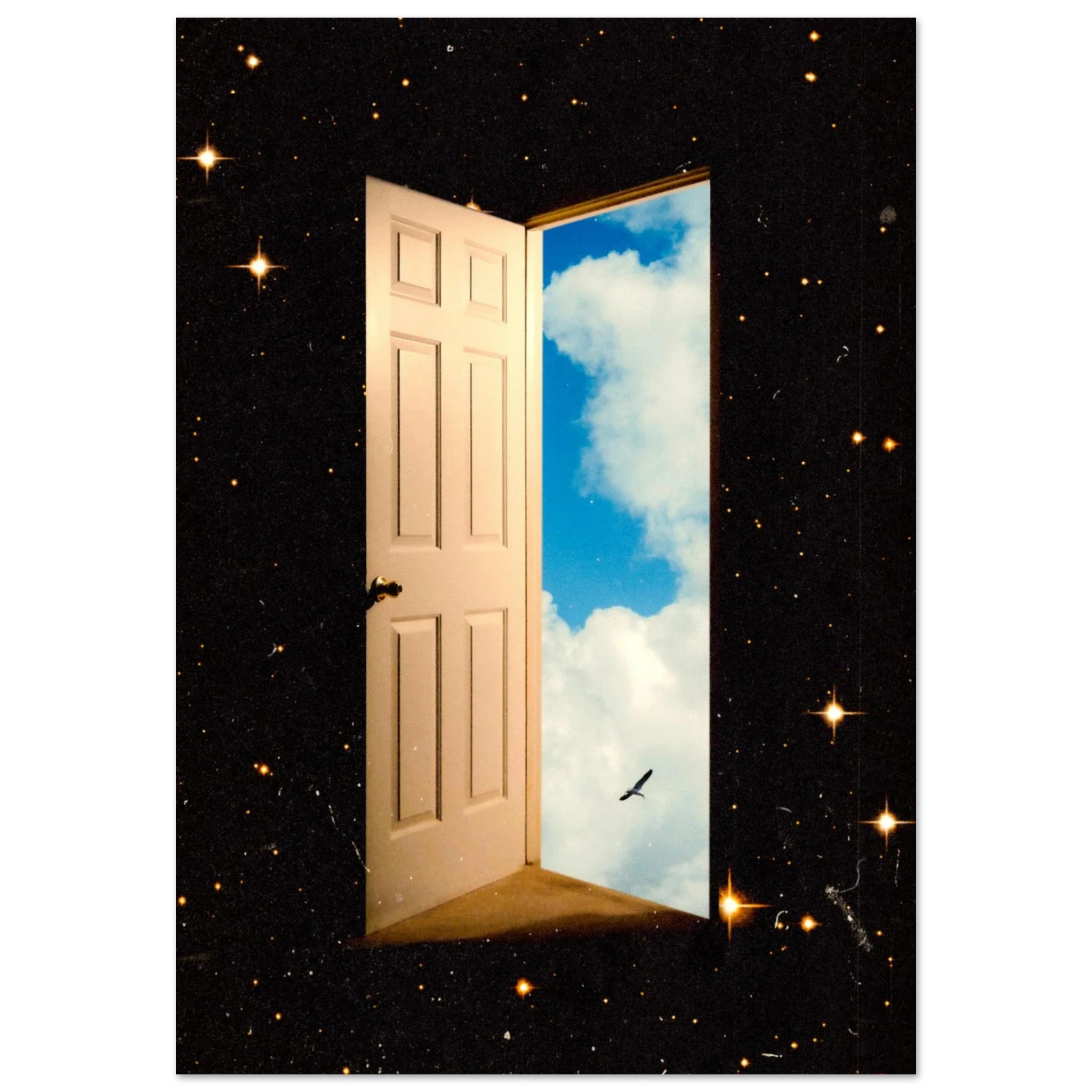 The Portal