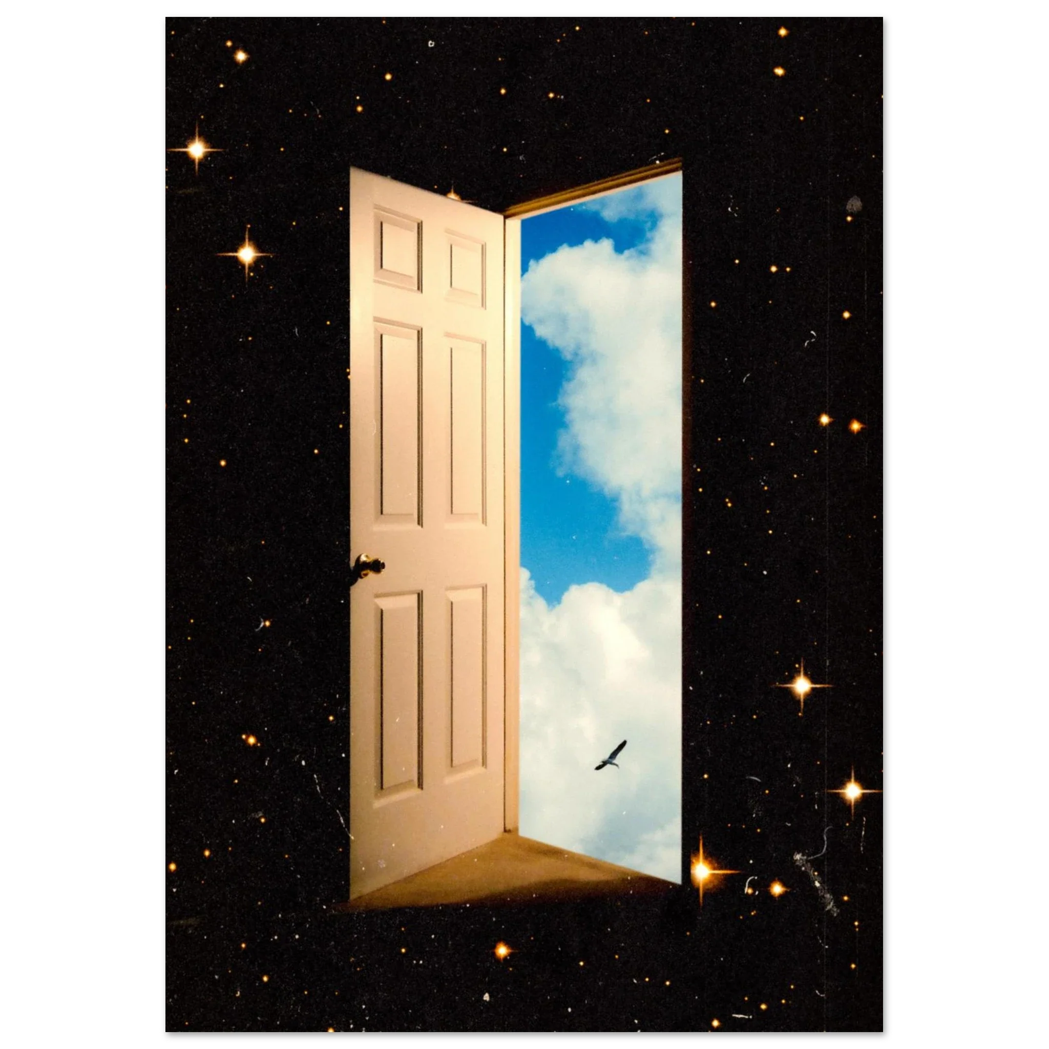 The Portal
