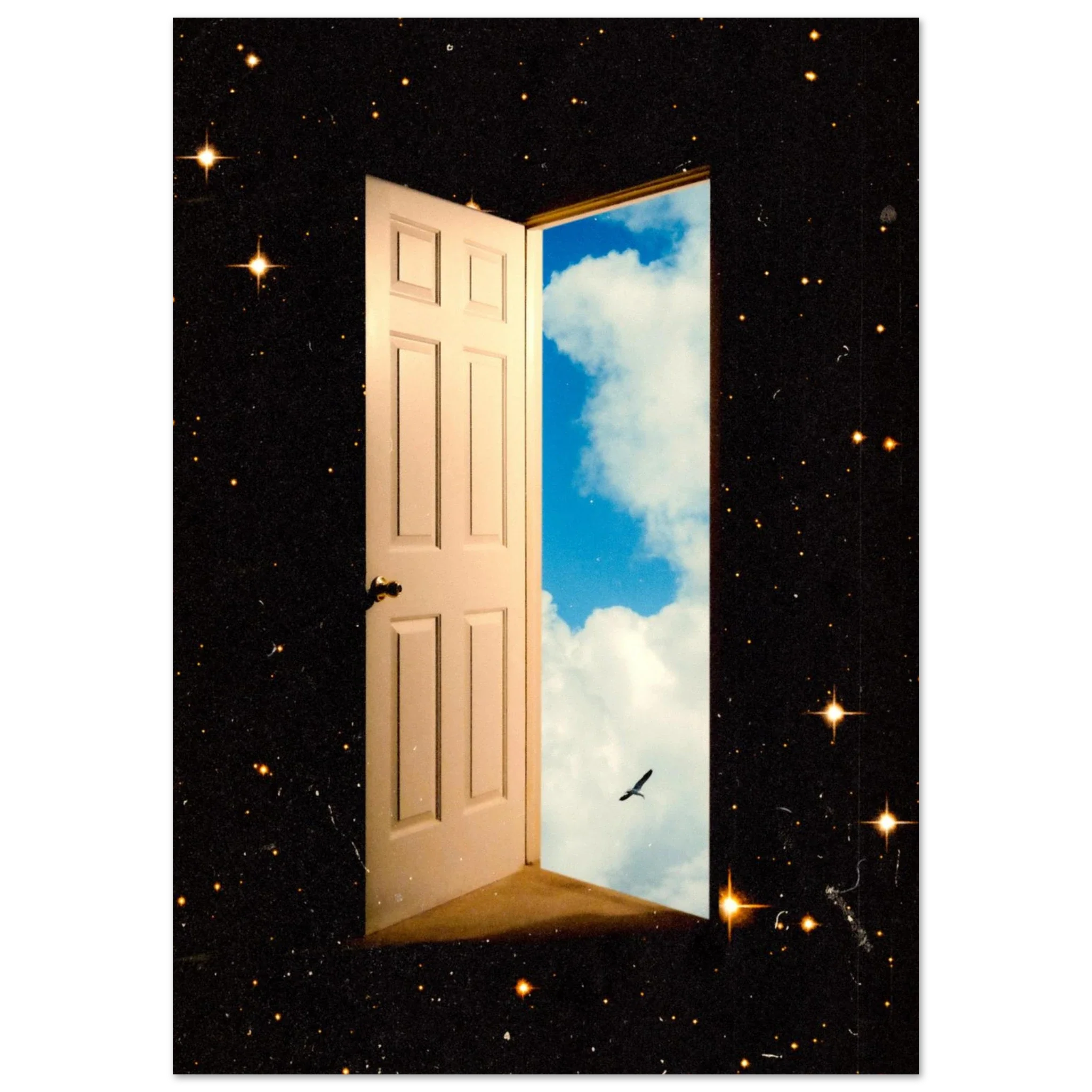 The Portal