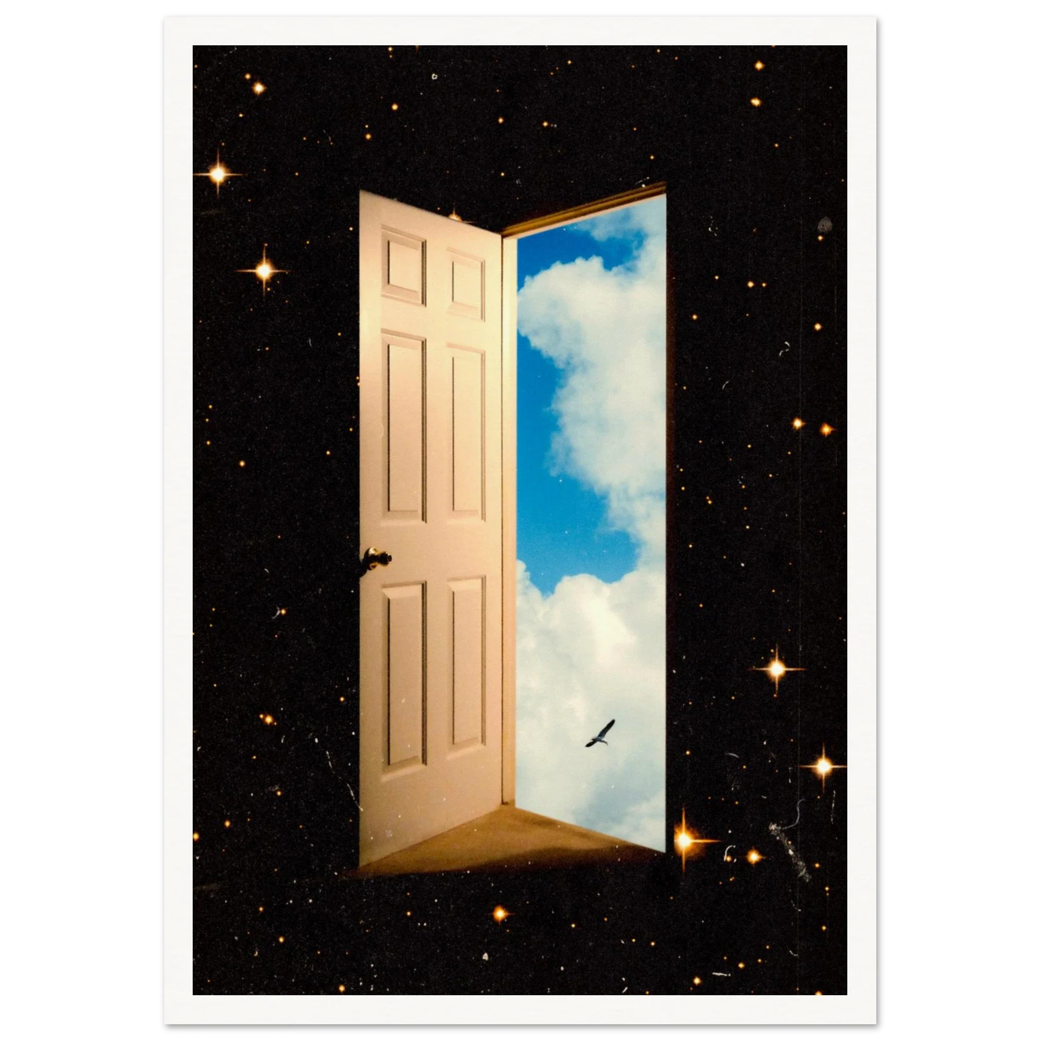 The Portal