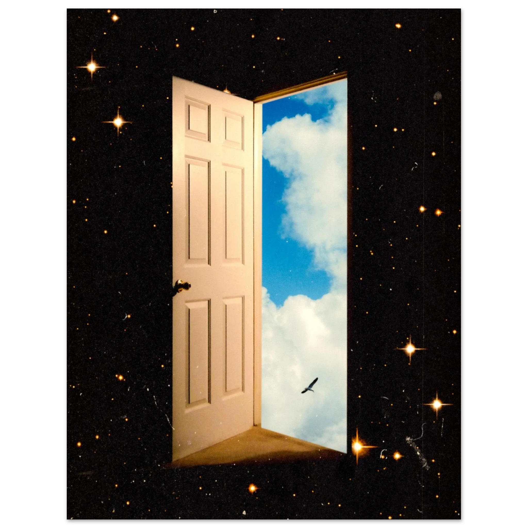 The Portal