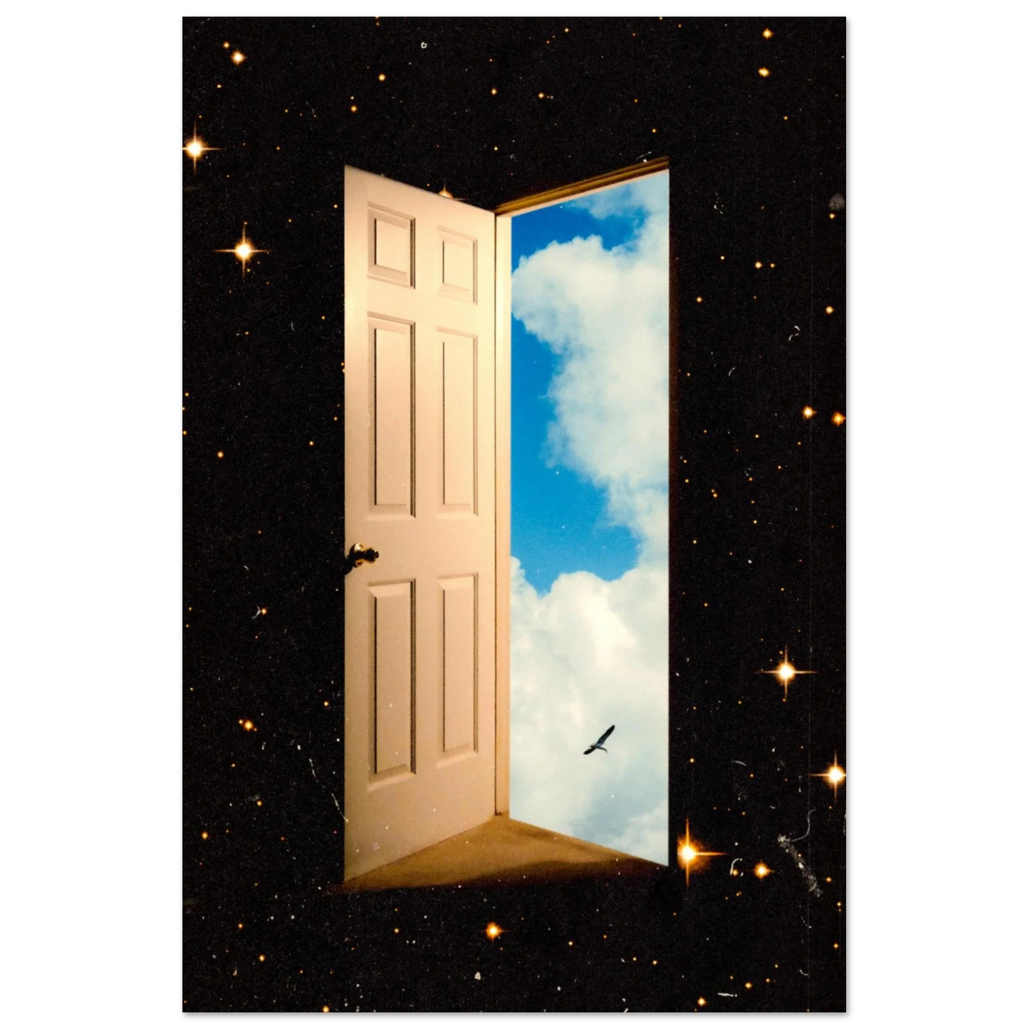 The Portal