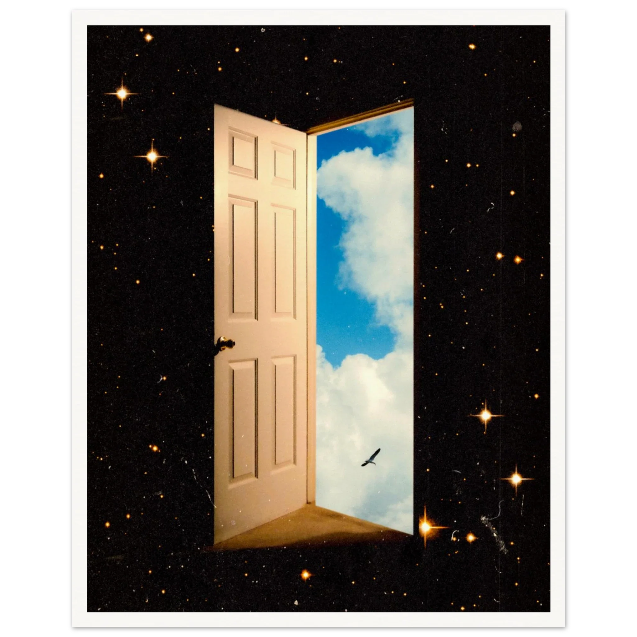 The Portal
