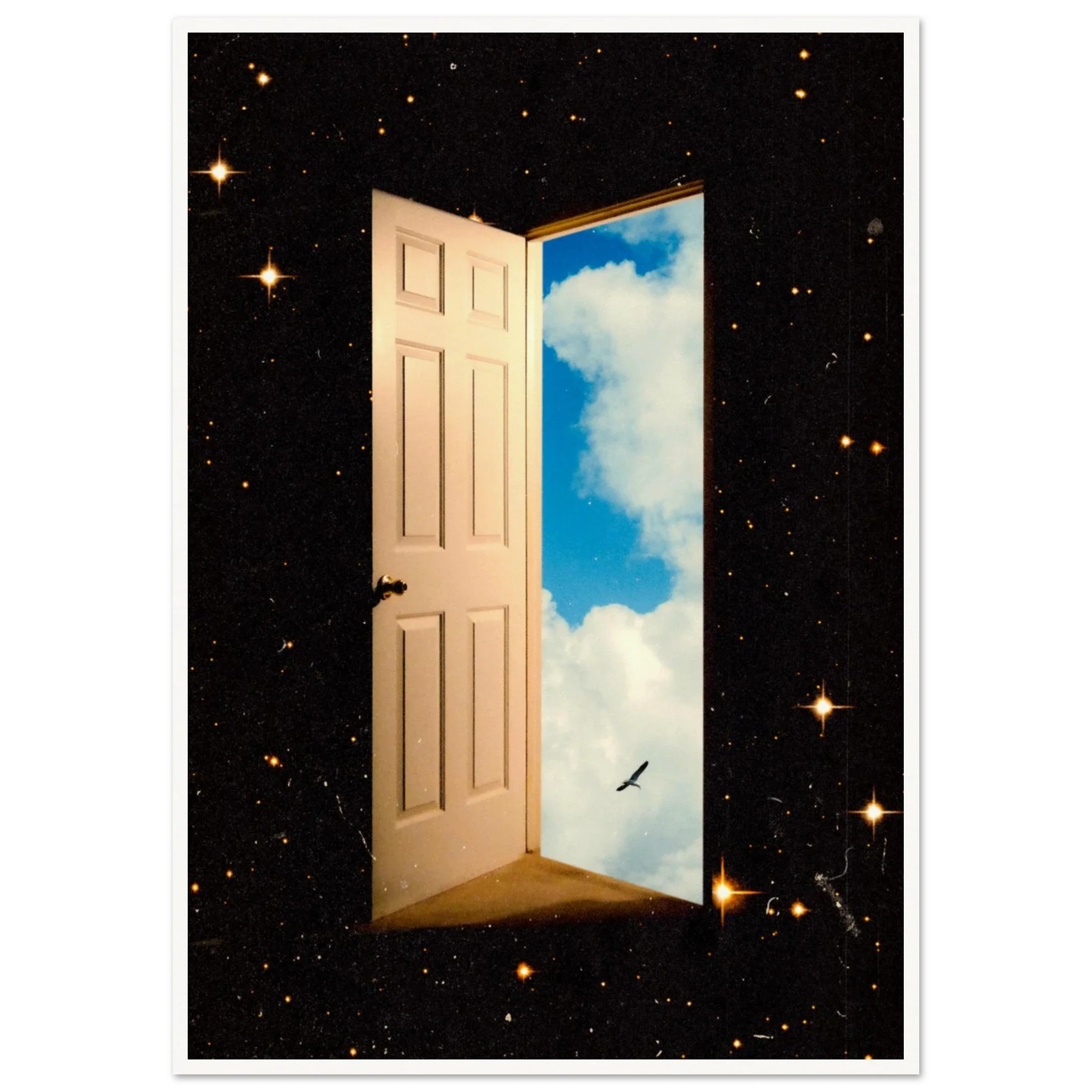 The Portal