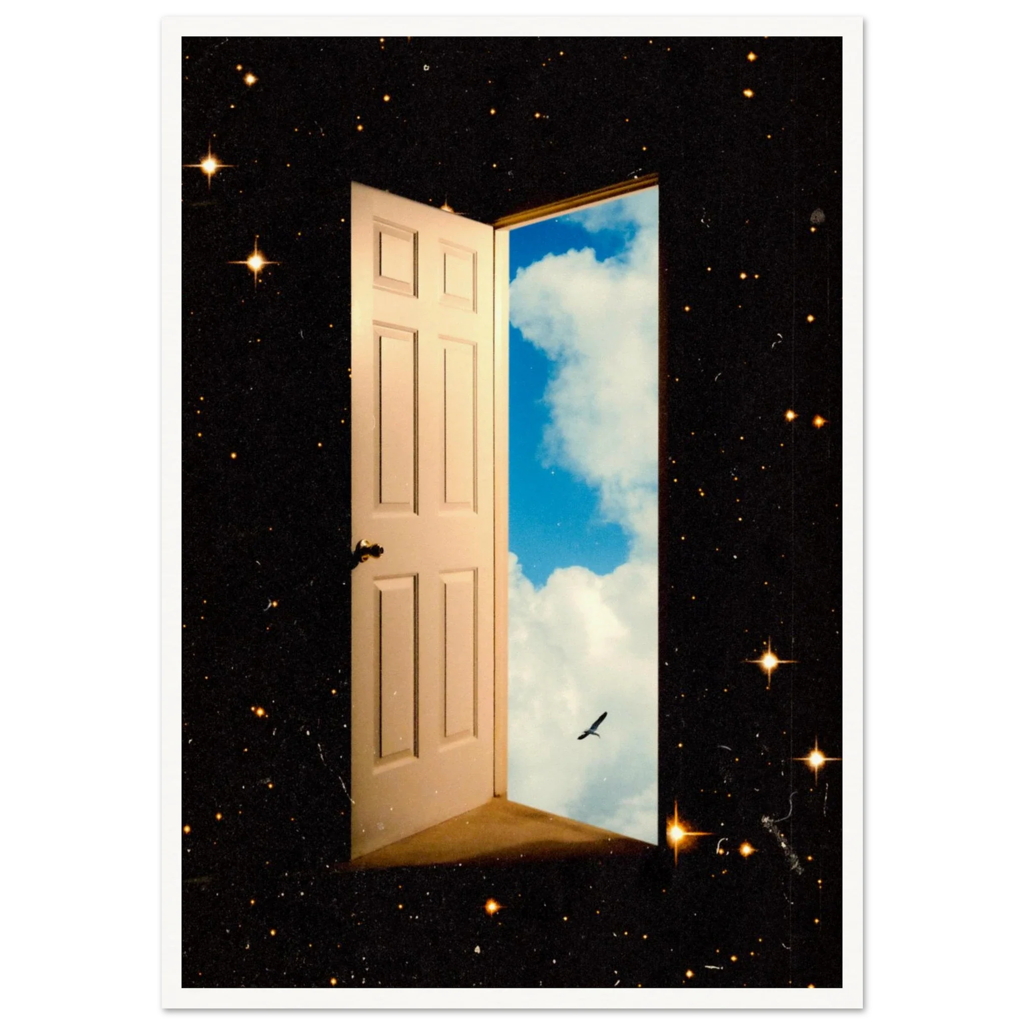 The Portal