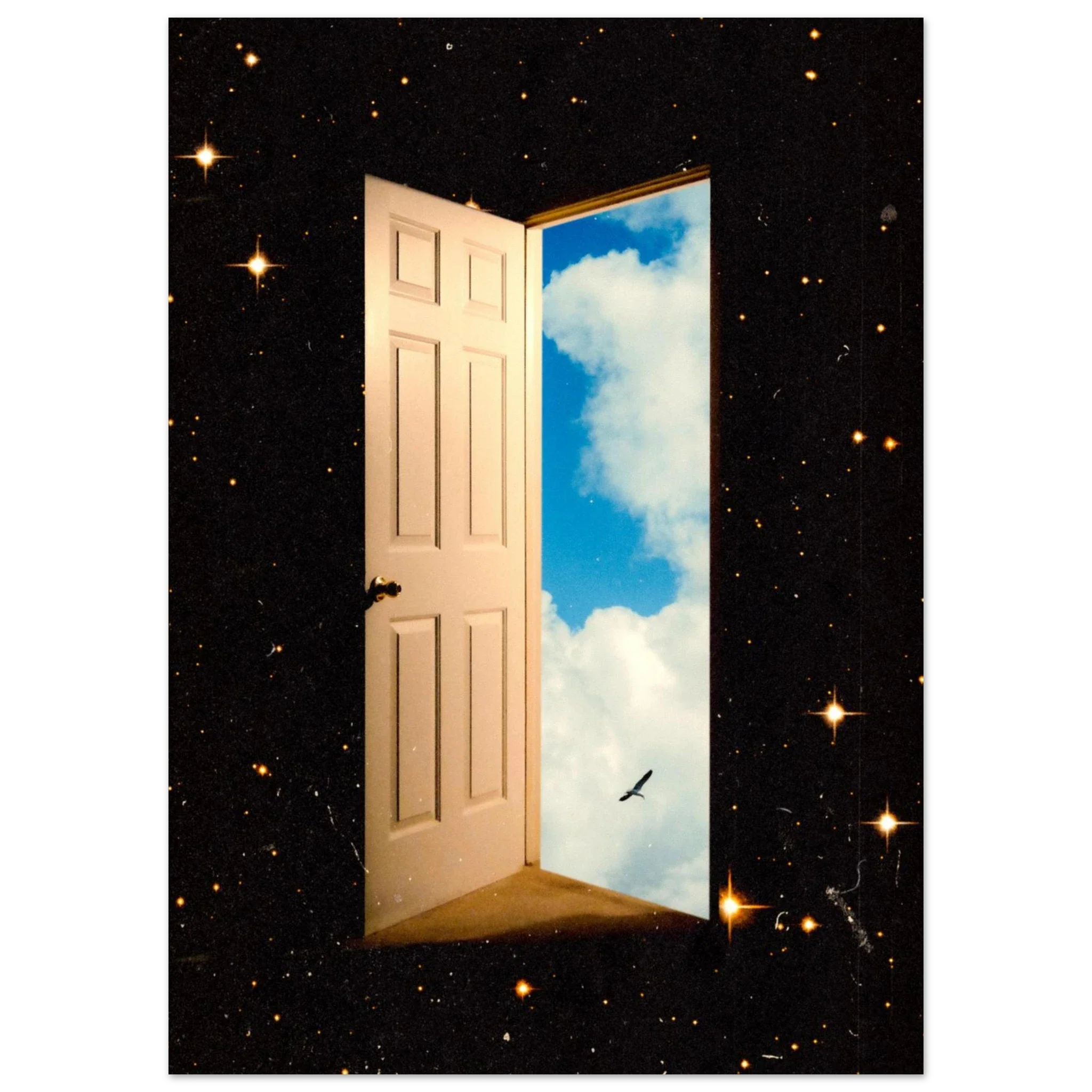 The Portal