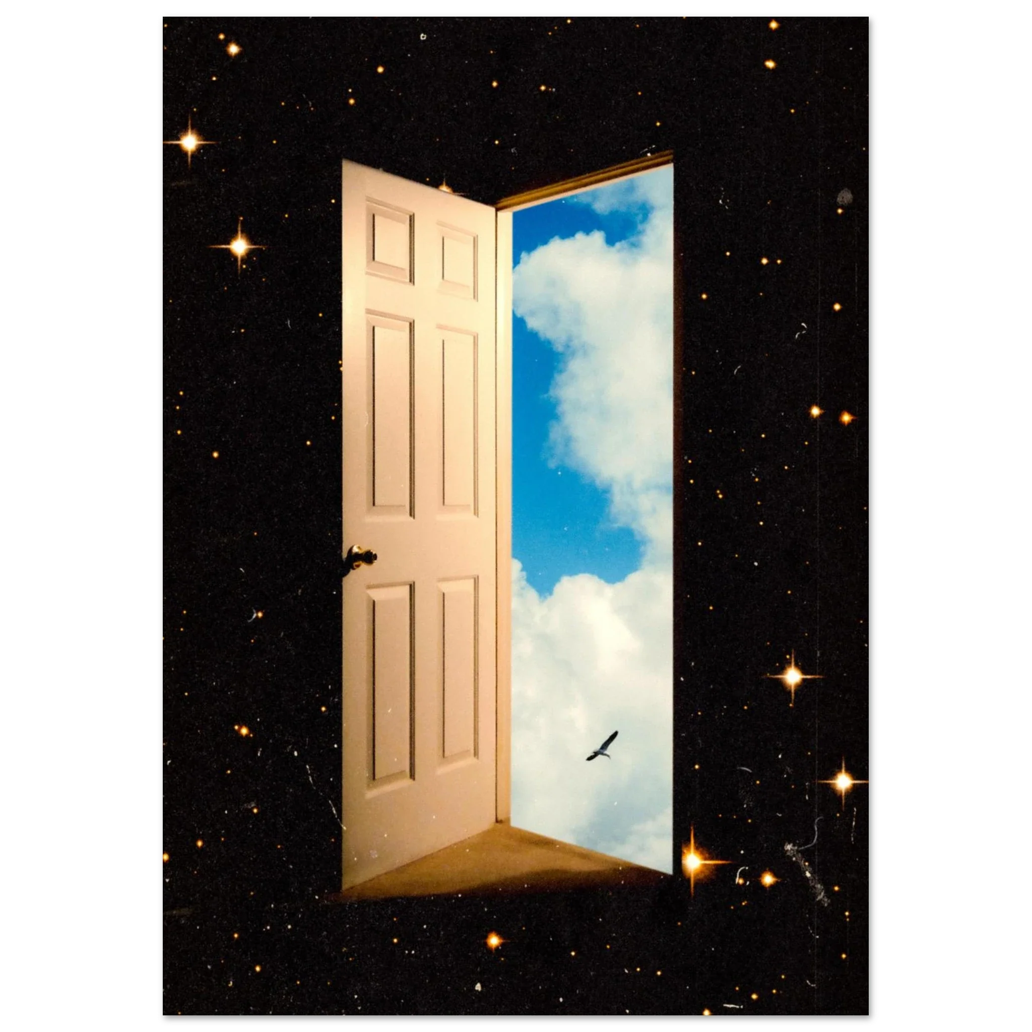The Portal