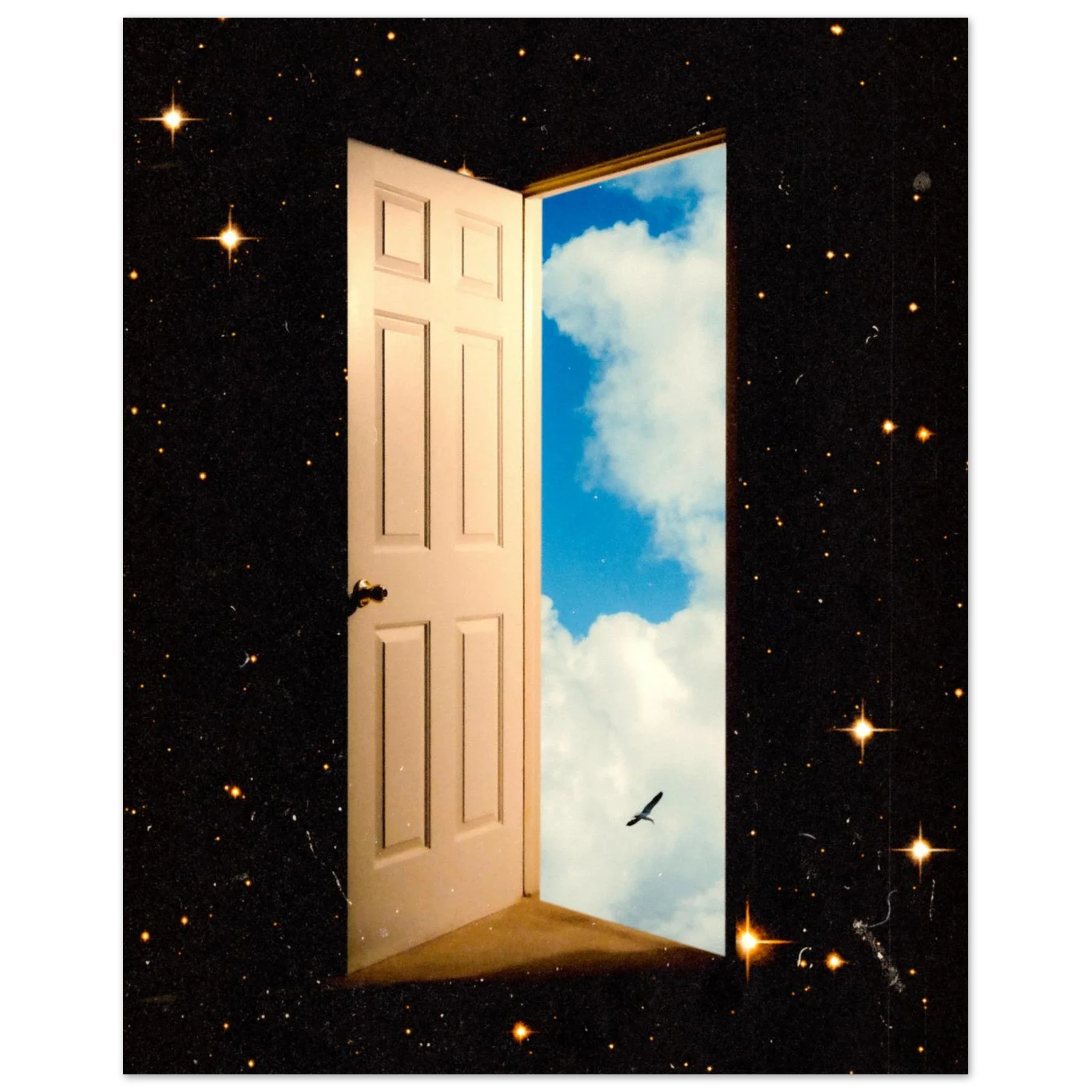 The Portal