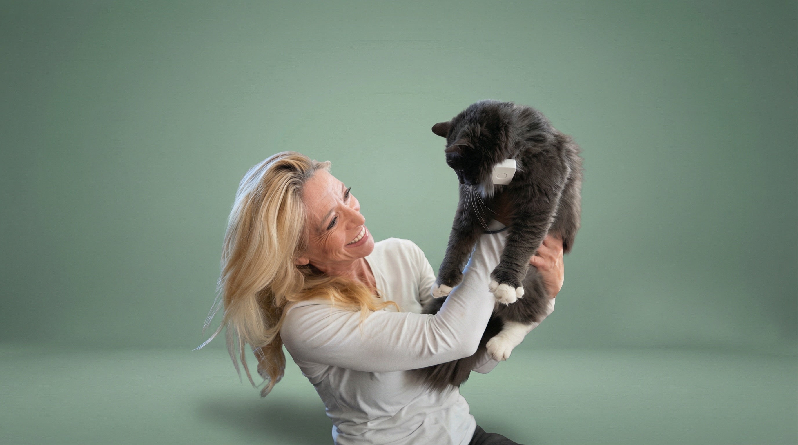 GPS til katt - Lilcat 2 med sanntidssporing & aktivitetsmåler