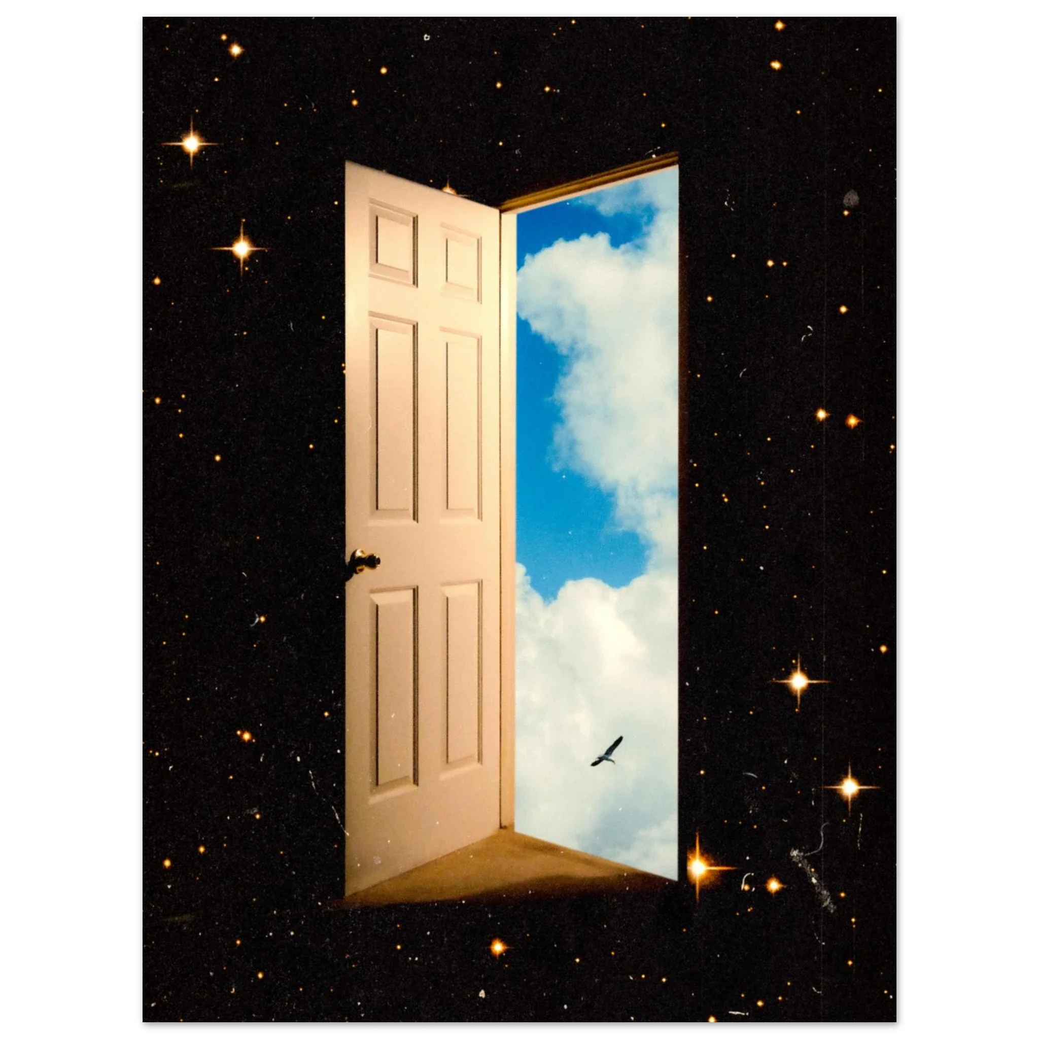 The Portal