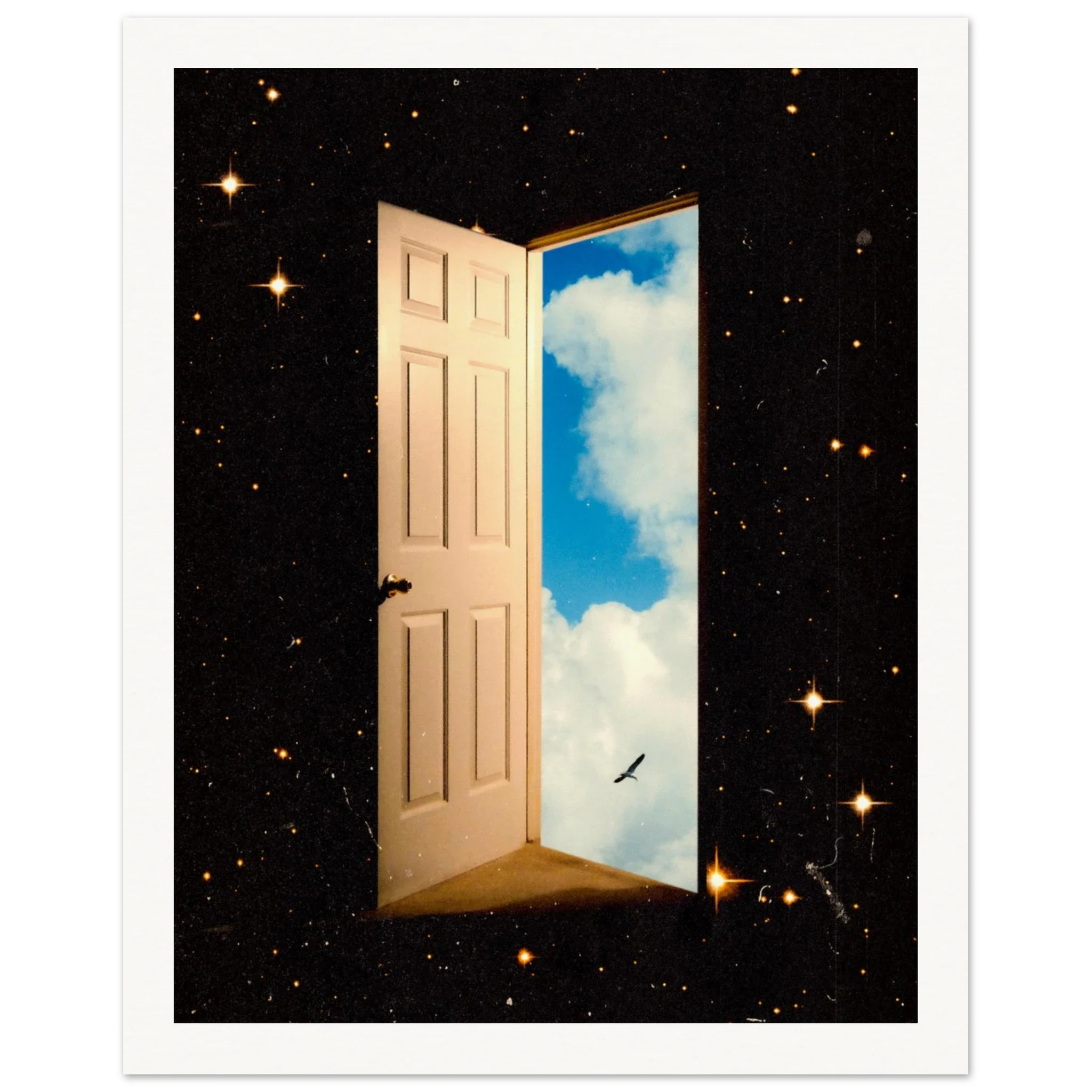 The Portal