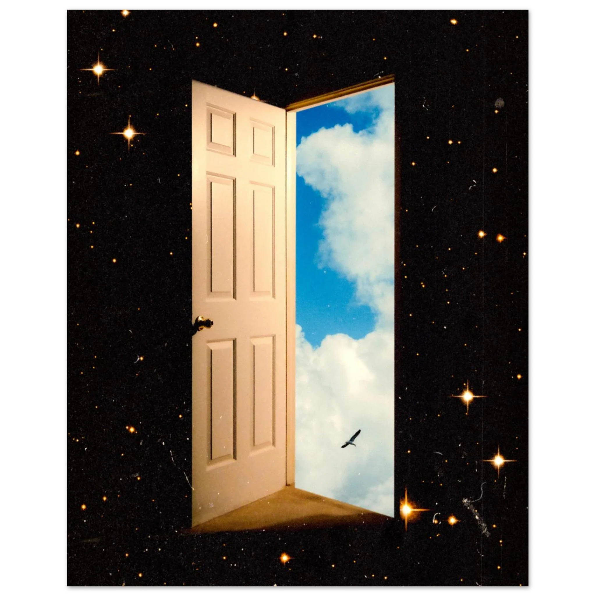 The Portal