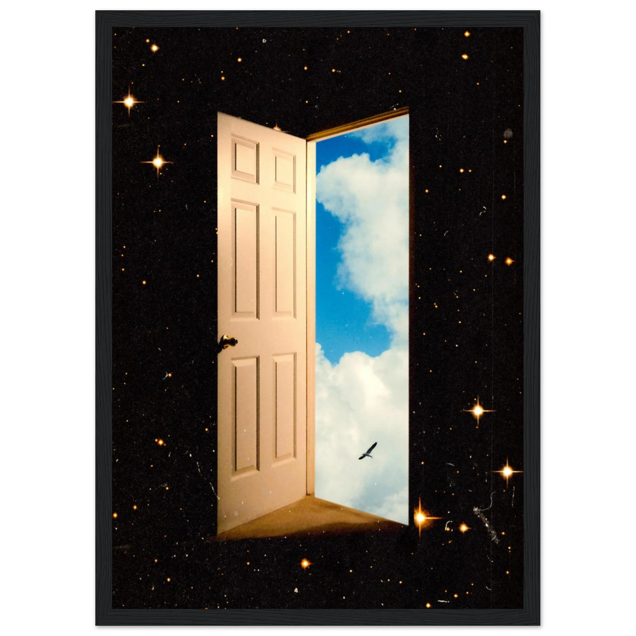 The Portal