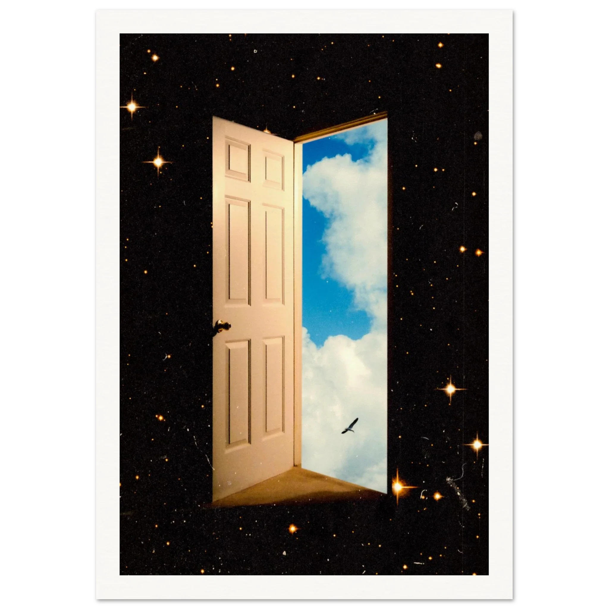 The Portal